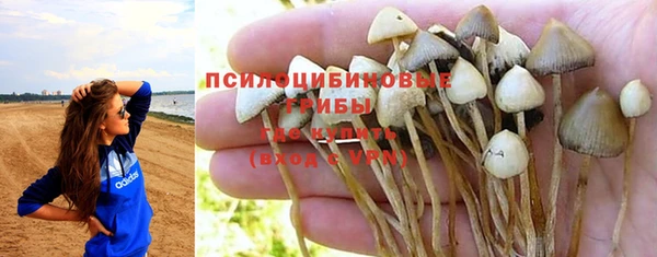 стафф Бугульма