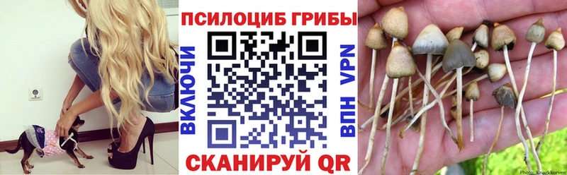 где найти наркотики  Джанкой  Галлюциногенные грибы мицелий 